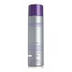 SHAMPOO SILVER FAMETHYSTE